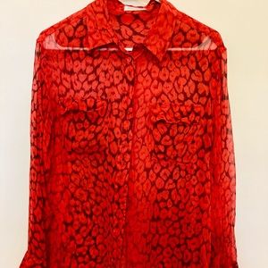 Sheer Long Sleeved Blouse